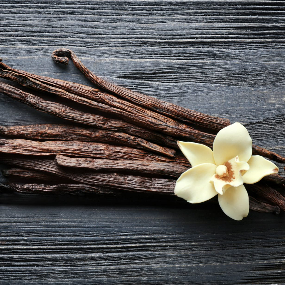 Top Fragrances That Keep It Fresh Everywhere
